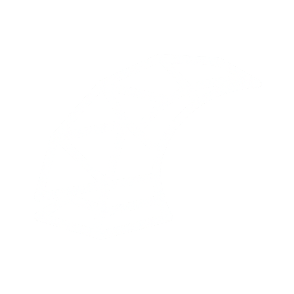 Logo Rails Otterly Web